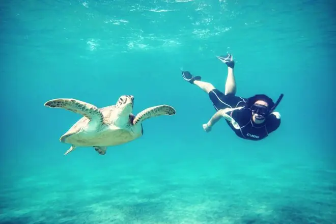 Swimming with the turtles in Abu Dabbab Bay from Makadi bay'