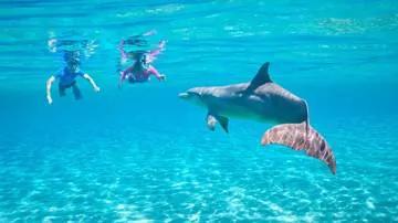 Snorkeling trip to Sharm El Naga Bay
