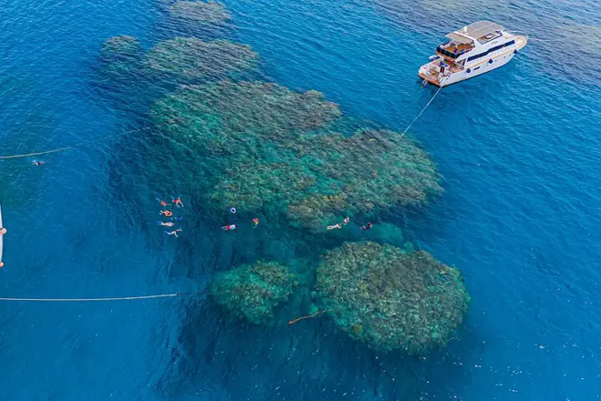 Excursion d'une journée sur l'île de Bianca '