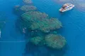 Bianca Island Trip