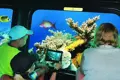 Semi-Submarine Glass Boat Trip 
