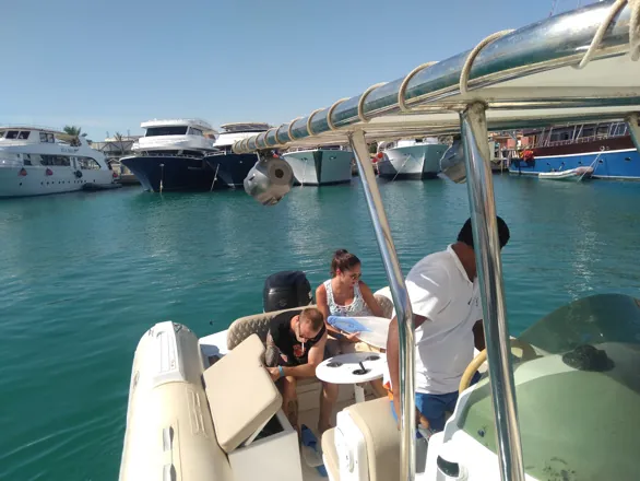 Visite de la maison des dauphins en bateau rapide'