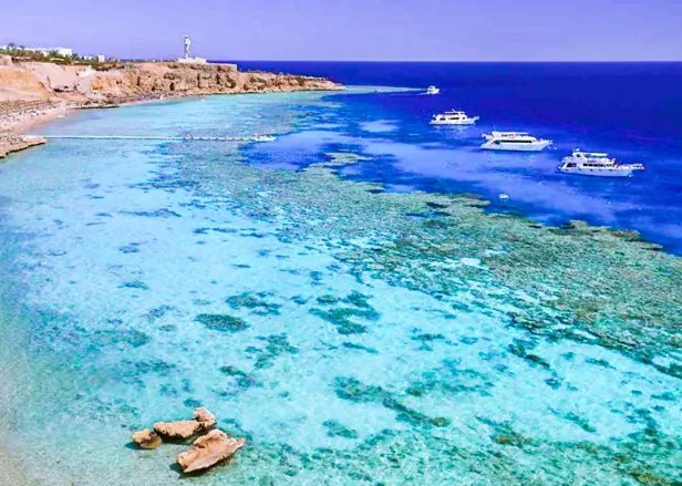 Excursion de plongée en apnée à Ras Mohamed'