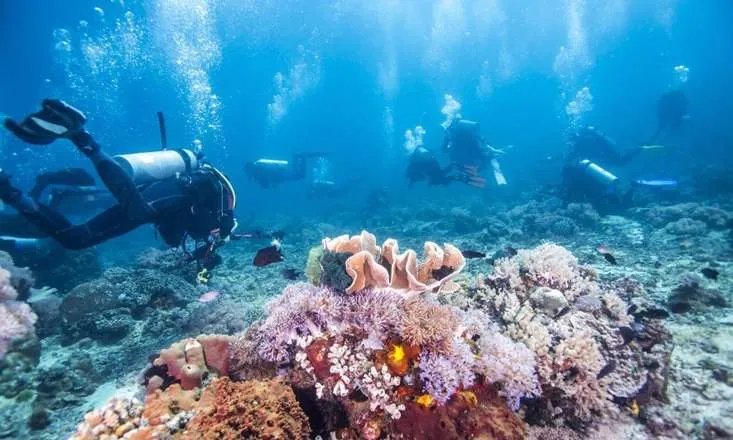 Excursion de plongée en apnée sur l'île de Tiran'