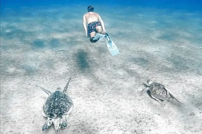 Swimming with the turtles in Abu Dabbab Bay from Makadi bay'