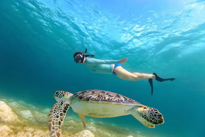 Swimming with the turtles in Abu Dabbab Bay from Makadi bay'