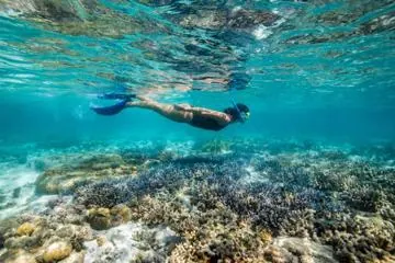 Snorkeling tour to Giftun Island from Makadi bay