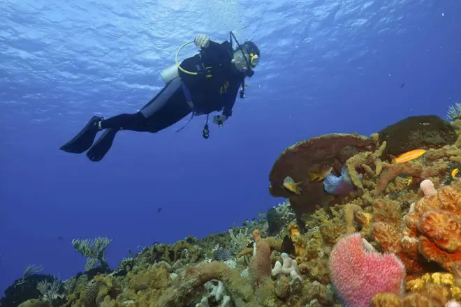 Plongée à Hurghada | Pour les débutants et les professionnels'